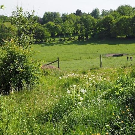 Exklusives Ferienhaus In Huppenbroich Mit Terrasse, Grill Und Garten Villa Simmerath Kültér fotó