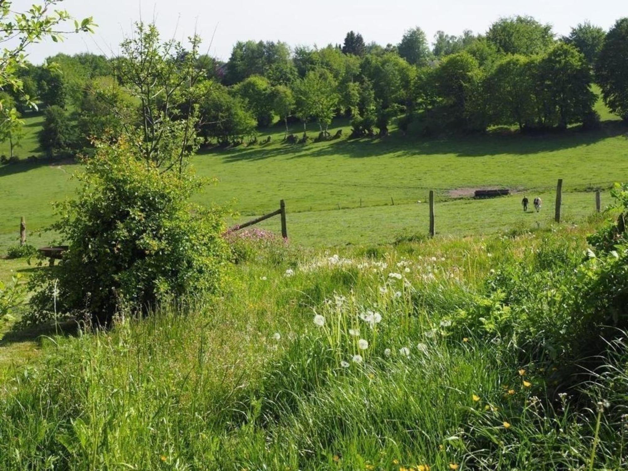 Exklusives Ferienhaus In Huppenbroich Mit Terrasse, Grill Und Garten Villa Simmerath Kültér fotó